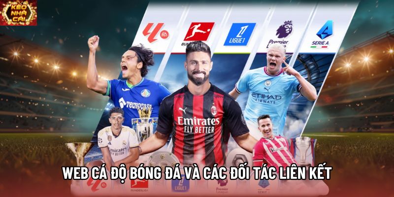 Web cá độ bóng đá và các đối tác liên kết Web cá độ bóng đá và các đối tác liên kết